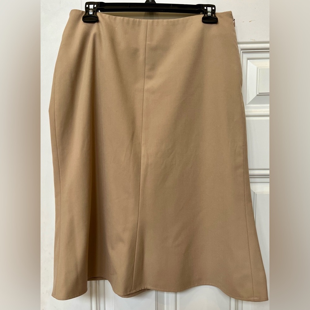 The Limited skirt